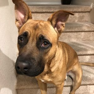 Meet your Posher, Lorac